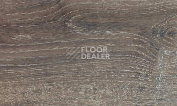 Ламинат Alsafloor Solid Plus ДУБ АРОНИЯ 542 фото 1 | FLOORDEALER